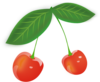 Two Red Cherries Clip Art